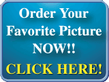 Order your favorite pictures from our Photo Gallery