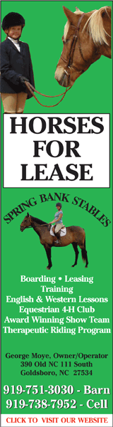 Spring Bank Stables Spring Bank Stables